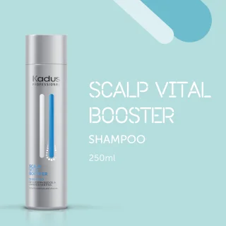 kadus-pro-scalp-boost-sh-250ml-06994ec539f025.png