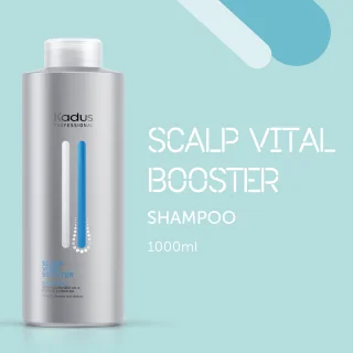 kadus-pro-scalp-boost-sh-1000ml-06994ed02c7e8c.png