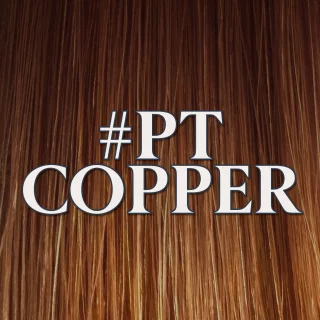 pro-prebonds-60cm-ptcopper-069fe03fec3819.jpg