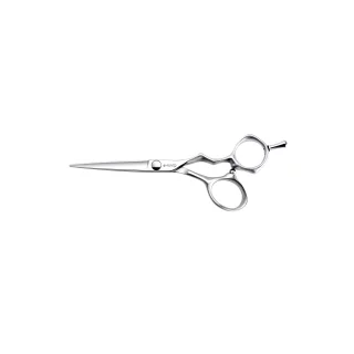 surimu-scissor-set-55-rightbluetooth-sunglasses-06a5a15d2dfa8d.jpg