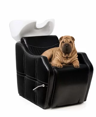 sakai-atlantis-wash-unit-black-seat-and-white-antidrop-basin-06a61fb6d460cc.jpg