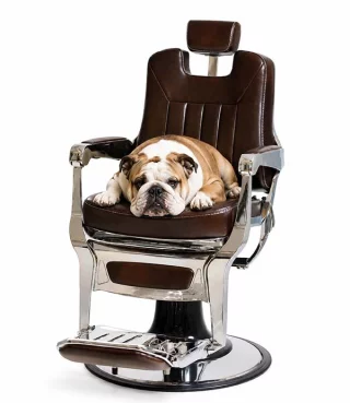 mayfair-barberchair-dark-brown-06a620867a597f.jpg