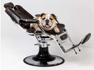mayfair-barberchair-dark-brown-06a620867d0197.jpg