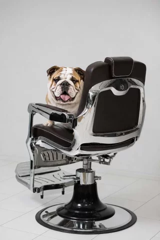 mayfair-barberchair-dark-brown-06a620867d5526.jpg