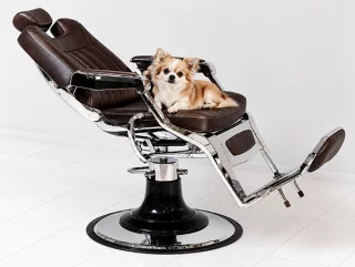 mayfair-barberchair-dark-brown-new-06ab510d50e712.jpg