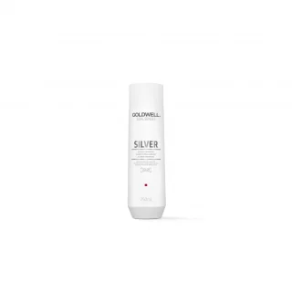 25348_B2B_en-eu_pictures_product_202915_goldwell-dualsenses-silver-shampoo-250ml_1920x1080_0.jpg.webp