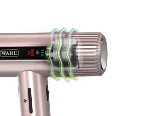 38272_B2B_en-eu_pictures_product_829402_wahl-vanquish-dryer-rosegold_1920x1080_5.png.webp