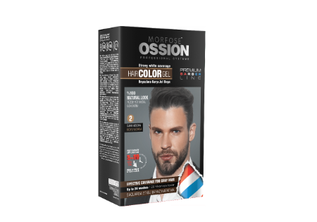 Morfose Ossion Hair Color Kit