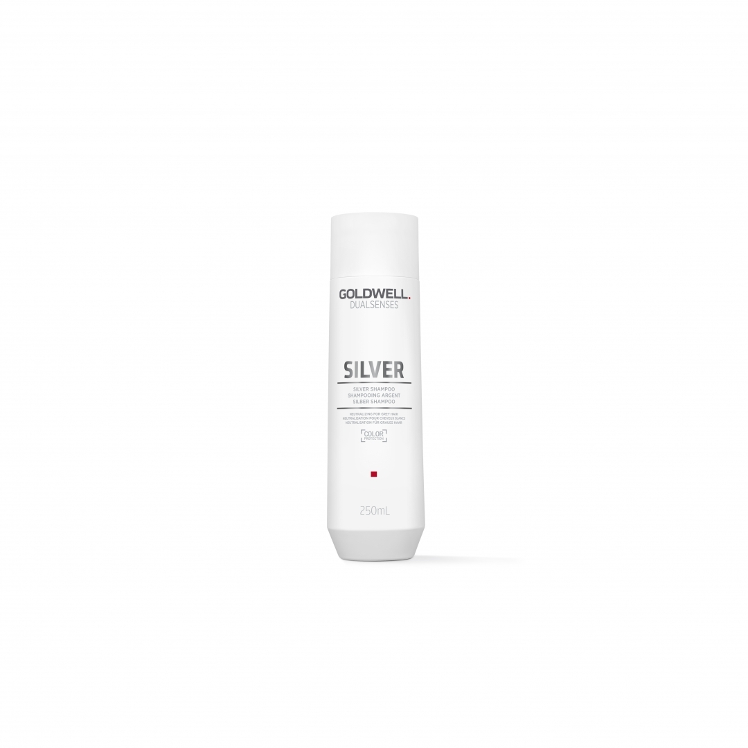 25348_B2B_en-eu_pictures_product_202915_goldwell-dualsenses-silver-shampoo-250ml_1920x1080_0.jpg.webp