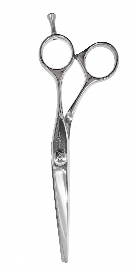 26490_B2B_en-eu_pictures_product_788979_togiya-csc-55-cutting-scissors-55_1920x1080_0.jpg.webp
