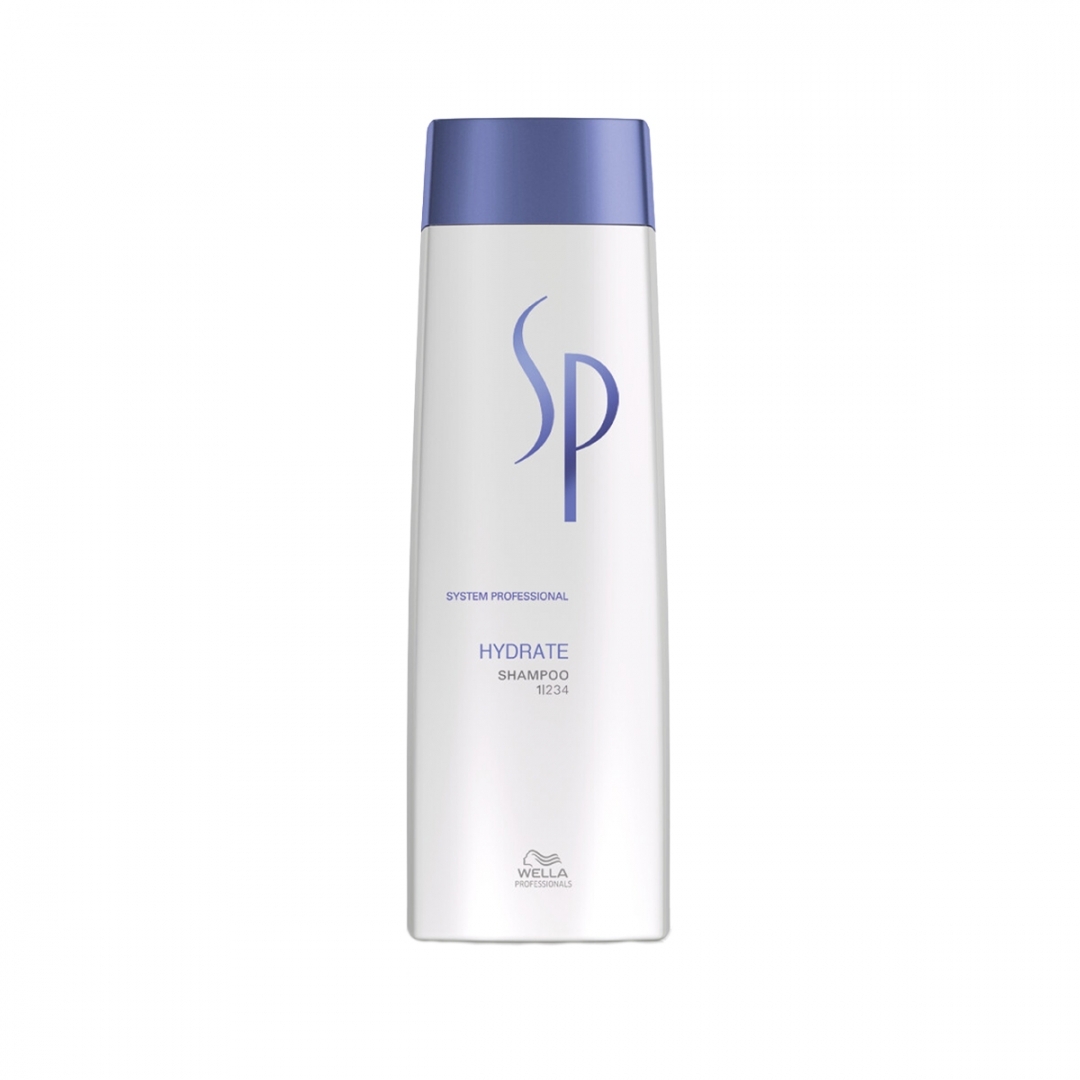 29017_B2B_en-eu_pictures_product_303000_wella-sp-hydrate-shampoo-250ml_1920x1080_0.jpg.webp