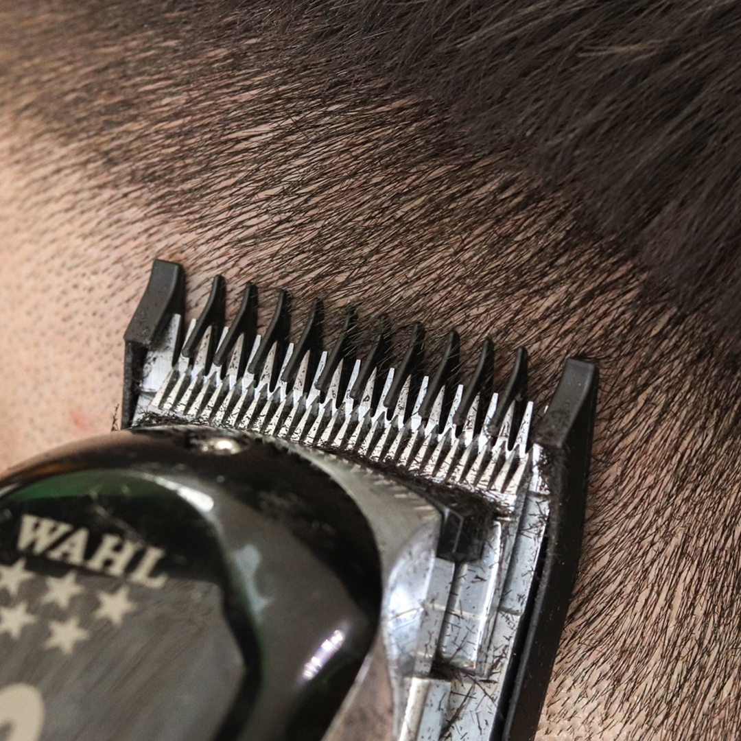 31442_B2B_en-eu_pictures_product_879222_wahl-senior-5v-cordless-hair-clipper_1920x1080_2.jpg.webp